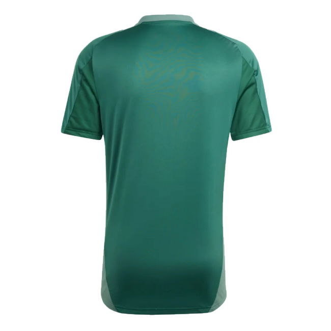 Championship 2024-2025 Algeria Training Jersey (Green) Match-Ready