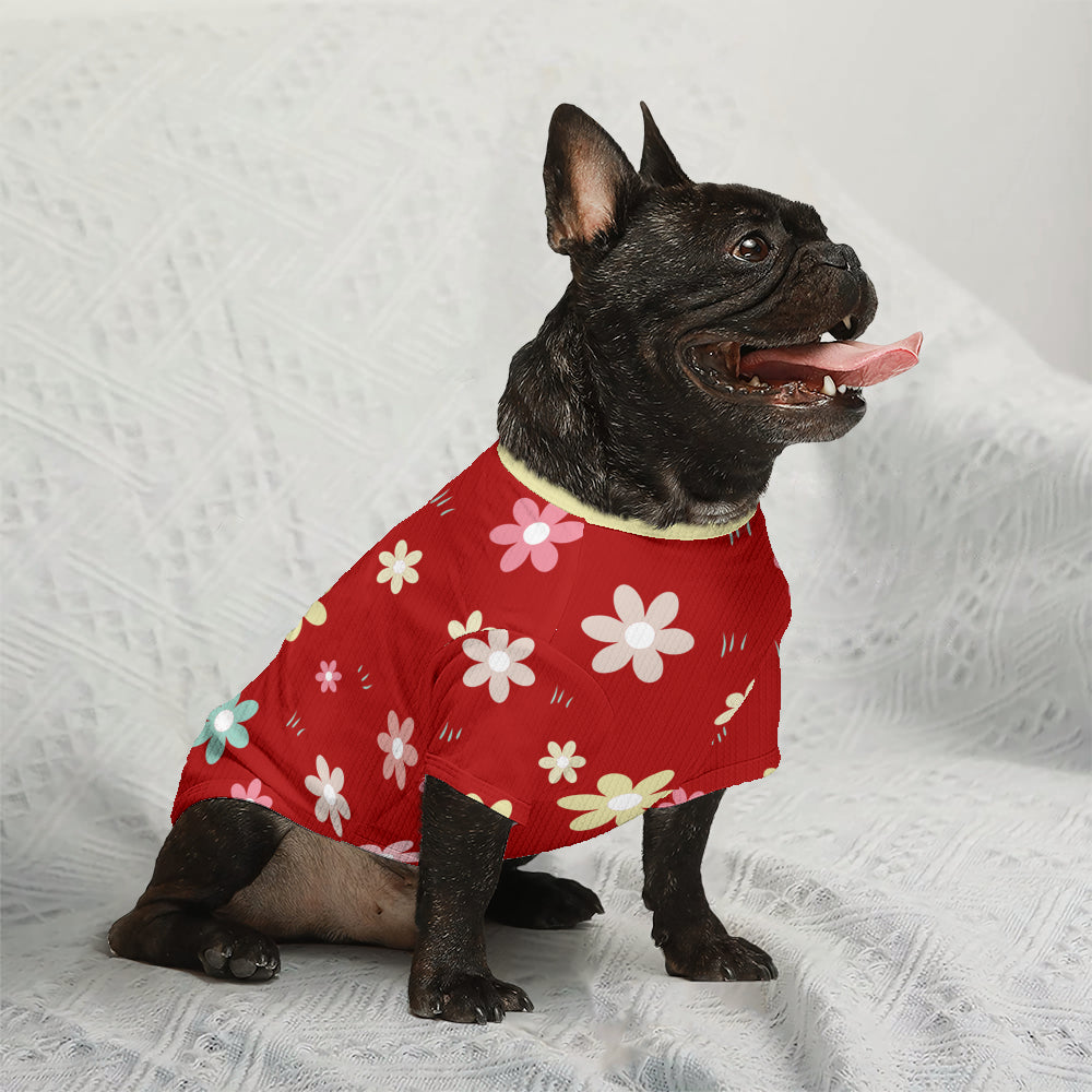 French Bulldog Como Wool Sweater For Frenchies Warm Cold Weather Gear