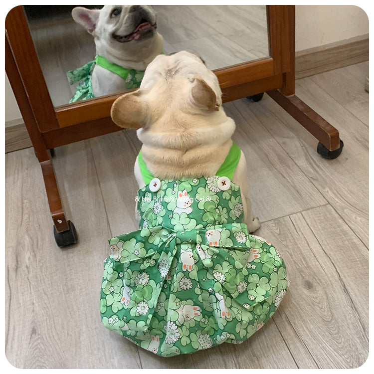 Frenchie-Fan Bunessa Frenchie Princess Dress – Cute Bunny Print Summe...