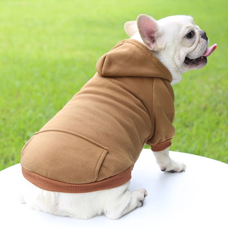 - Everyday French Bulldog Sweater Sports Style Pet Clothes Outdoor Style