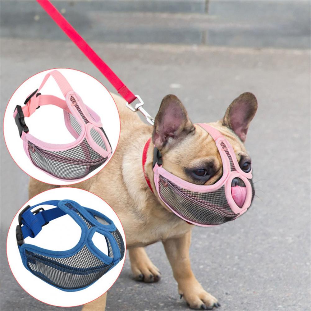 - Safe Effective Anti-bite Mouthpiece For Frenchie Pups | Comfort Fit