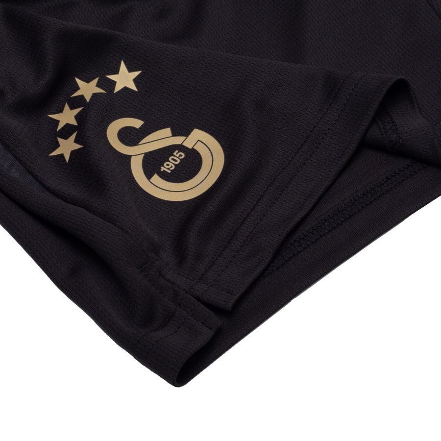 Galatasaray Training Shorts - PUMA Black