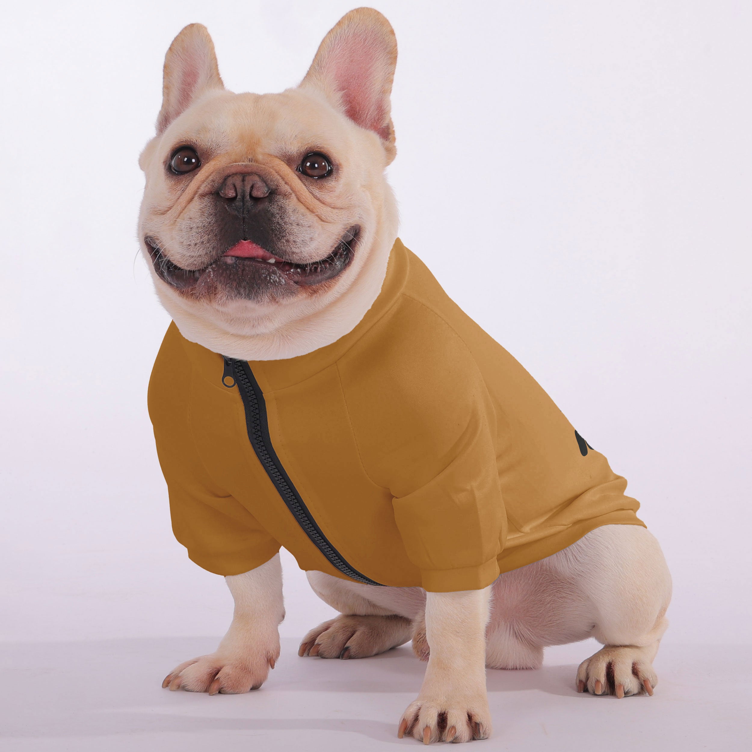 Zoomies Included - Snuggly Zip-Up Sweatshirt for French Bulldogs