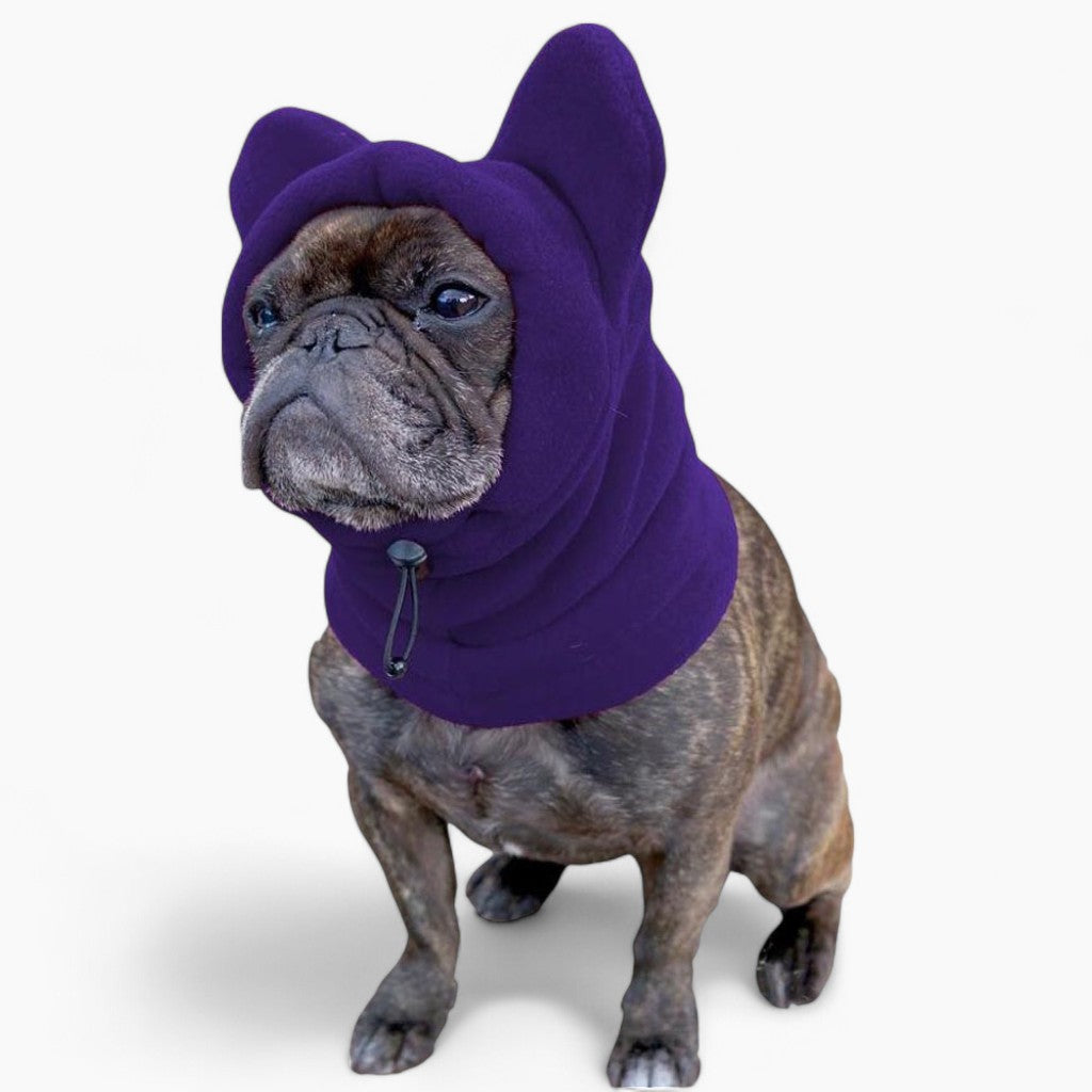 French Bulldog Soft Fleece Winter Hat Casual Wear | Unique Design