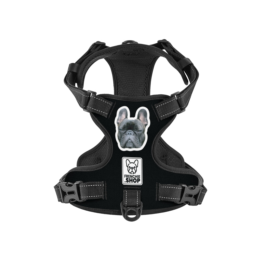 French Bulldog Esther Personalized No Pull French Bulldog Dog Harness Practical Dog Gear
