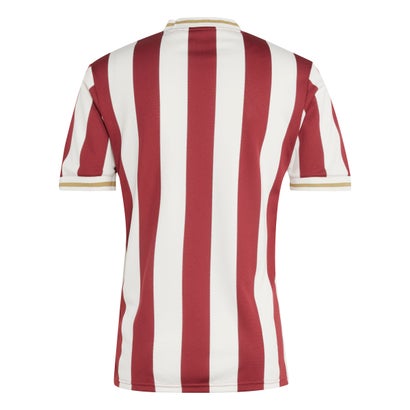 1. FC Nuremberg Soccer Jersey 2025/26-125th Anniversary Authentic Kit