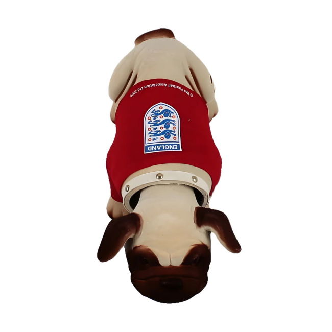 England Exclusive Jersey England #11