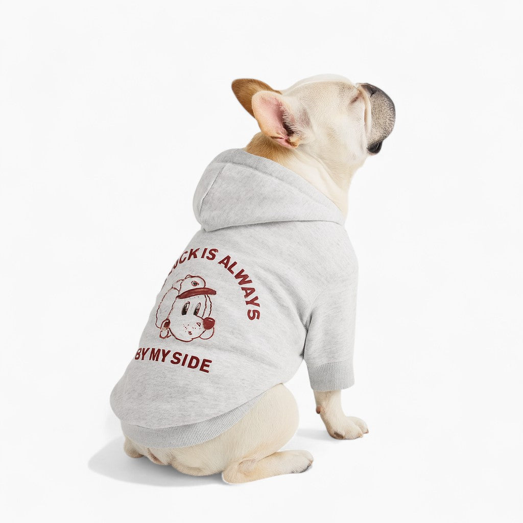Letter Print Sweatshirt For Dog And Owner Everyday Use | Durable Build