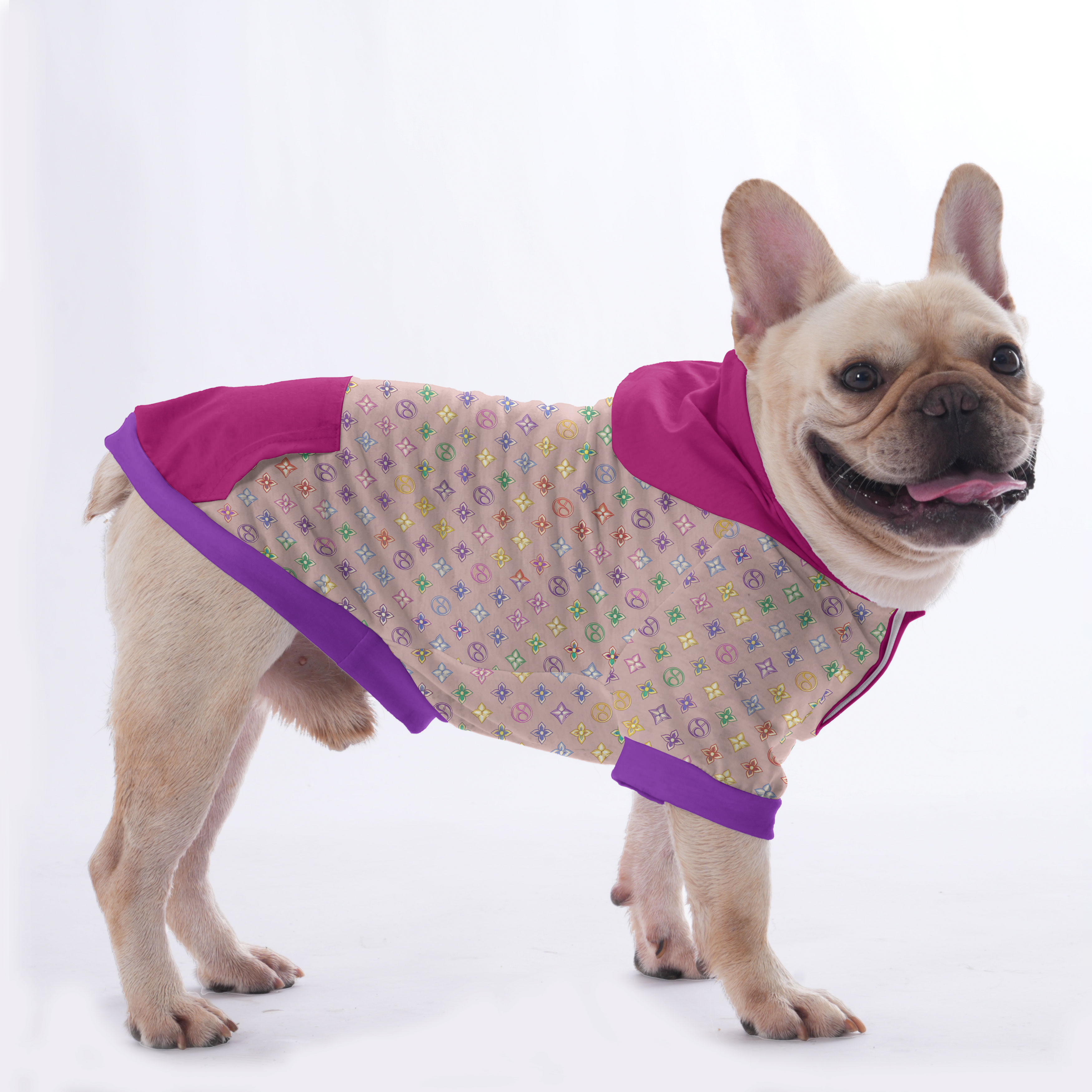 French Bulldog Skye Hoodies For French Bulldog | Frenchie Shop Original Durable Dog Item