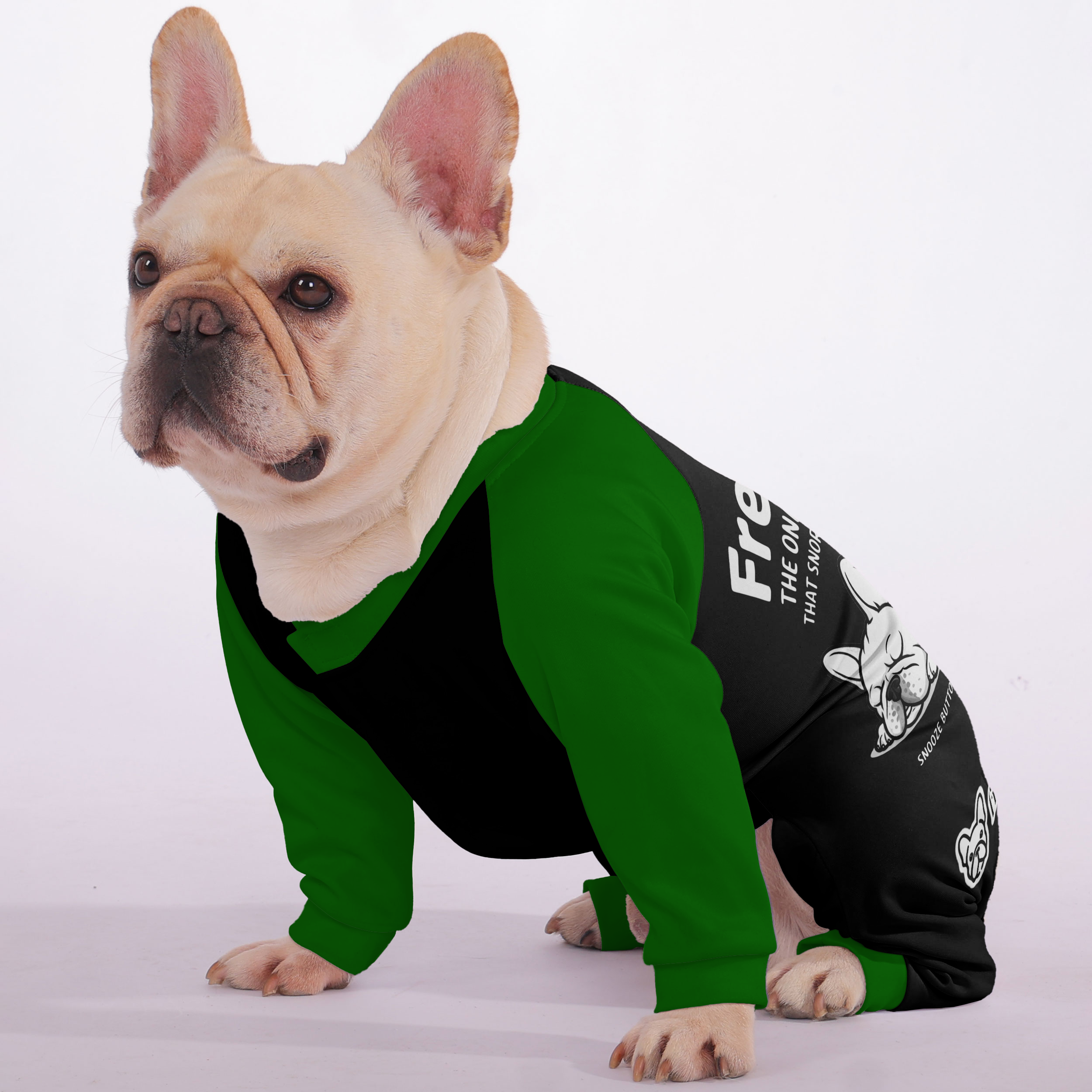 French Bulldog Frenchies: The Only Alarm Clock That Snores Instead Of