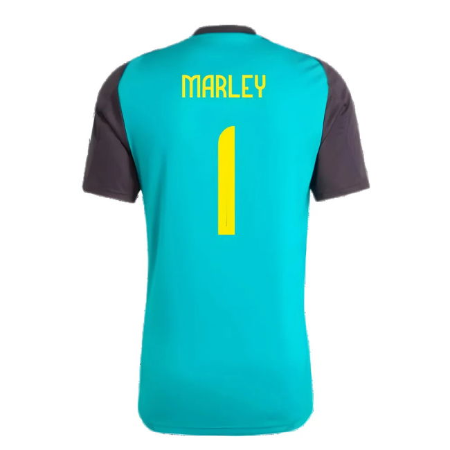 Jamaica Senior Team Top Tier Training Player Jersey