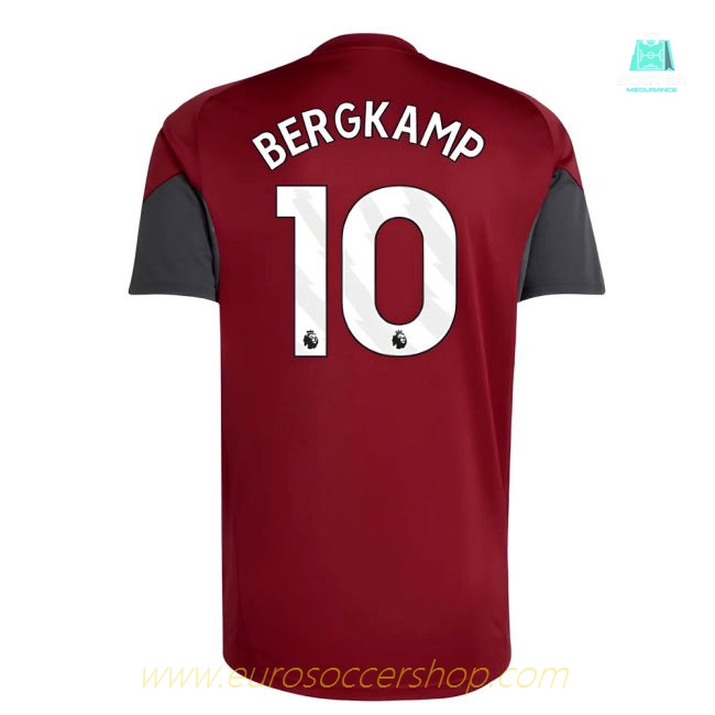 2025-2026 Arsenal EU Training Jersey (Burgundy) (Bergkamp 10)