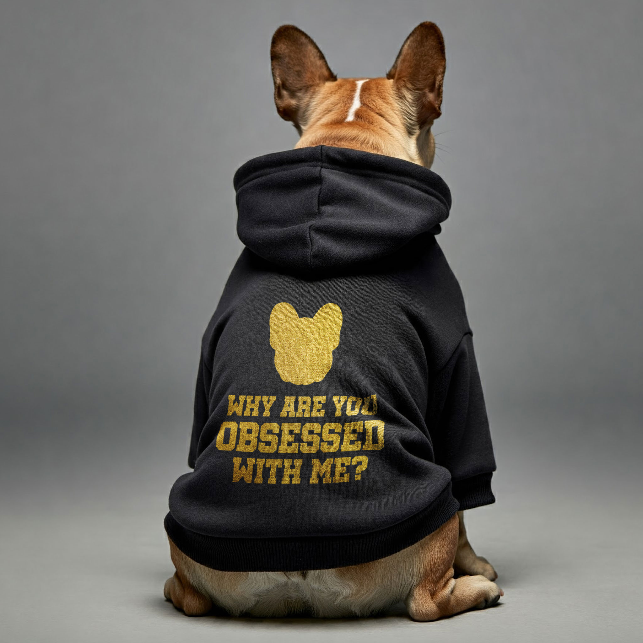 Why Are You Obsessed With Me? - Everyday Personalized French Bulldog Hoodies With Funny Quotes – Stylish, Cozy, And Premium 100% Cotton Casual Wear