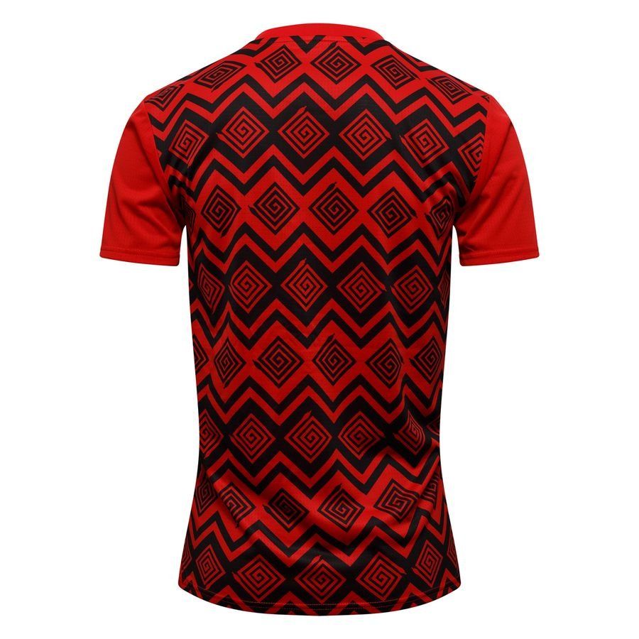 Egypt Training T Shirt Pre Match Africa Cup Of Nations 2025 Puma Red/p