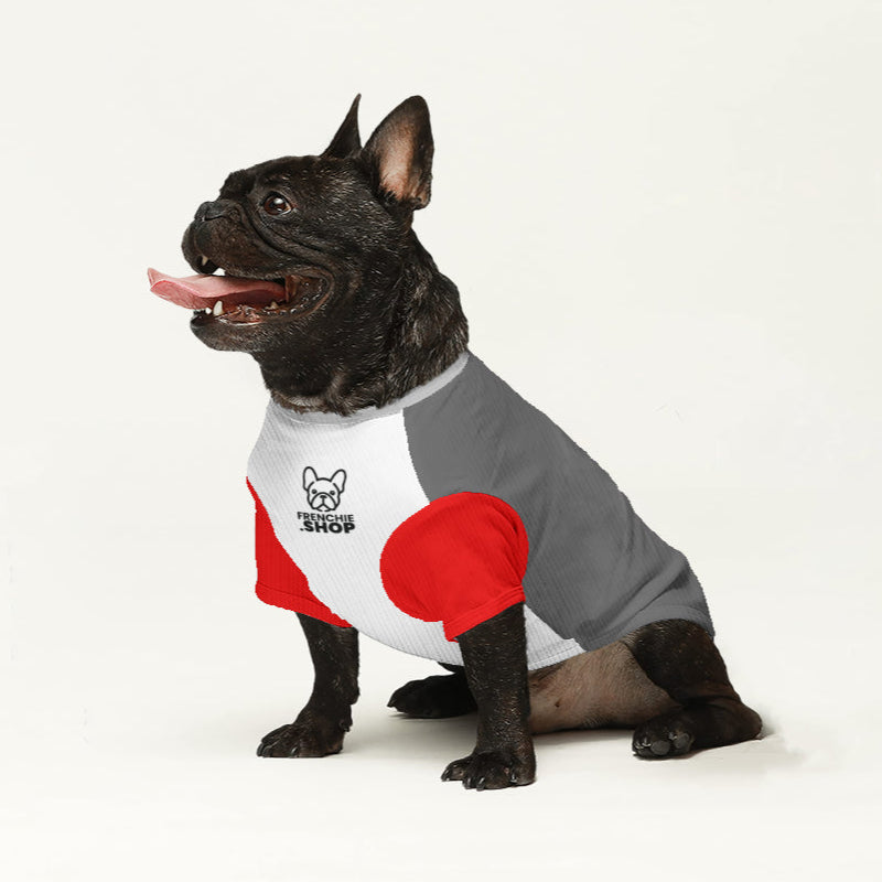 French Bulldog Louie Wool Sweater For Frenchies Soft Pet Apparel