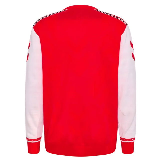 Denmark Performance Jersey 2024-2025 #85