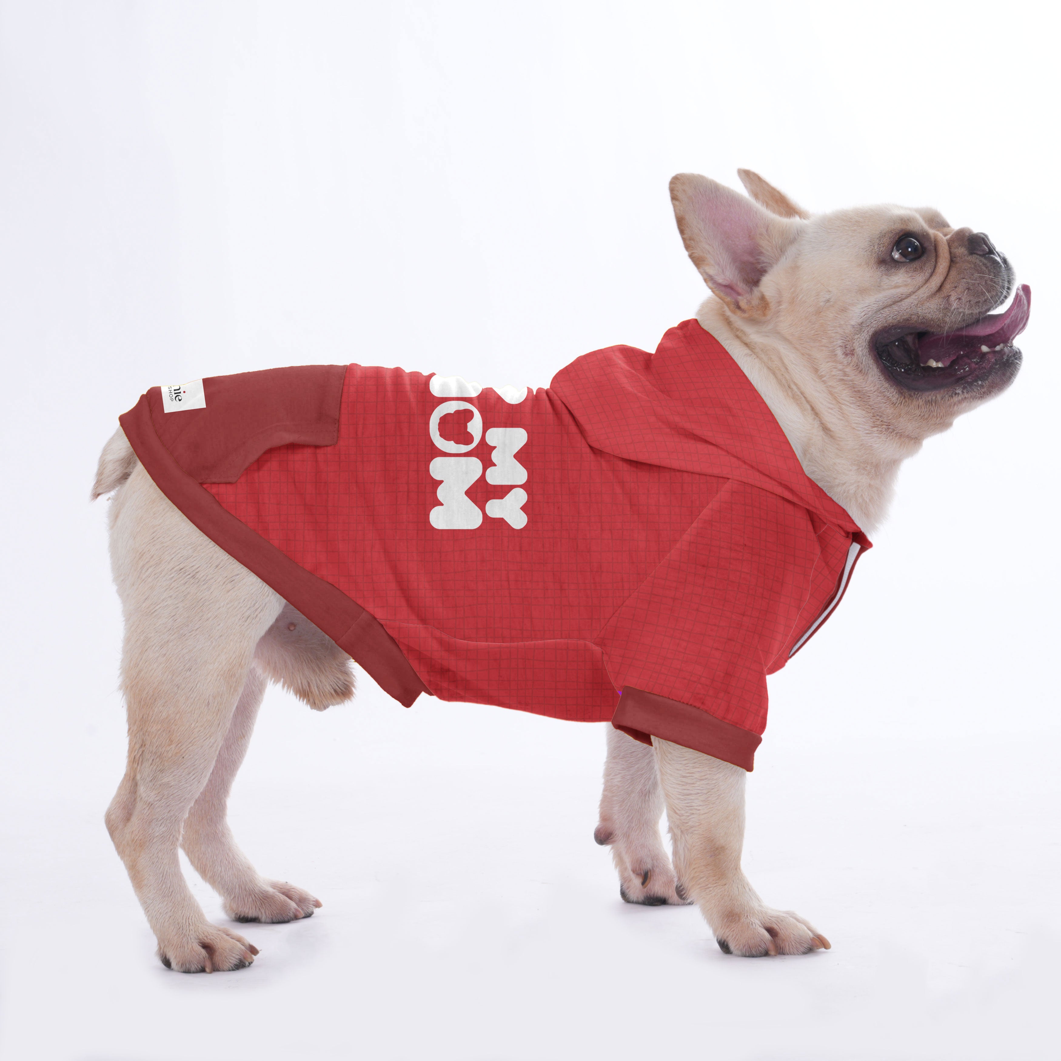 Owner Hoodies For French Bulldog | Frenchie Shop Original Indoor Comfort