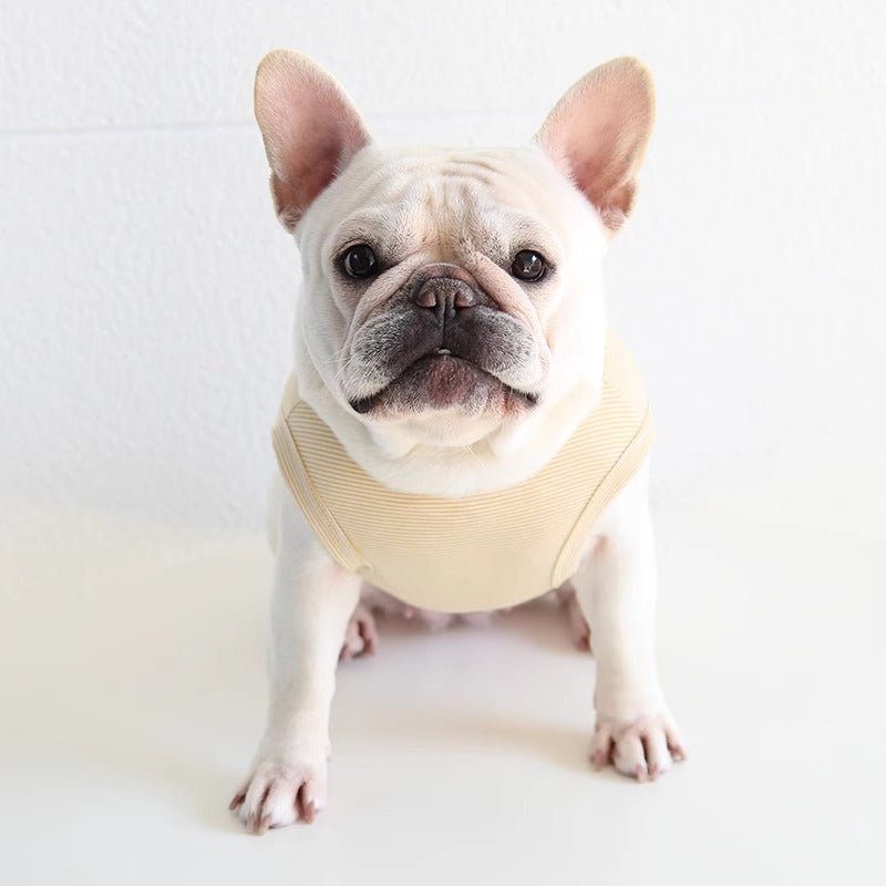 Street-Ready Froztee Frenchie Polar Bear T-shirt – Soft Breathable Su...