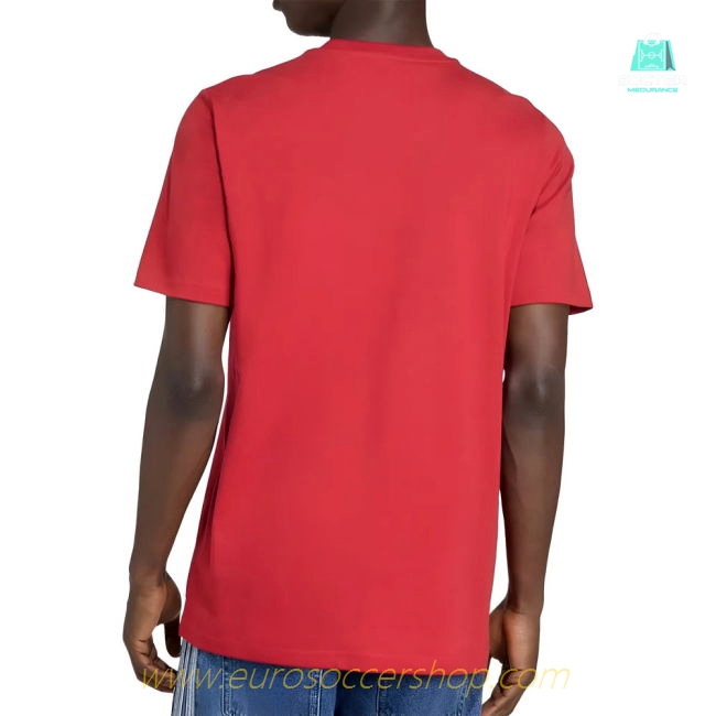 2025-2026 Liverpool DNA Graphic Tee (Red)