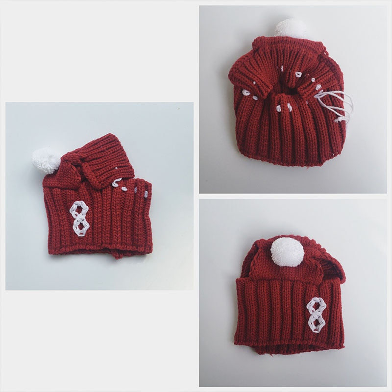 Winter - French Bulldog Themed Woolen Hat For French Bulldog Casual Wear