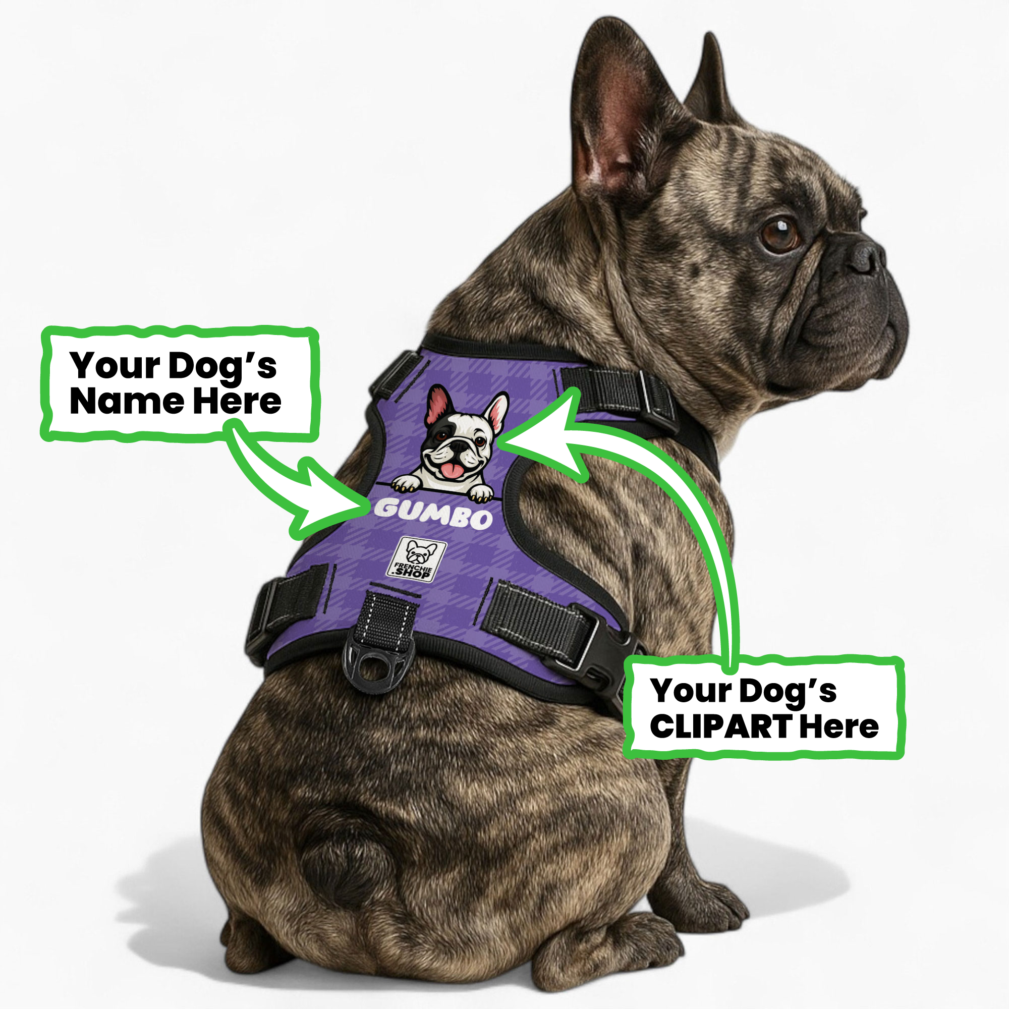Airflow-Friendly Jaq - Personalized No-pull French Bulldog Dog Harnes...
