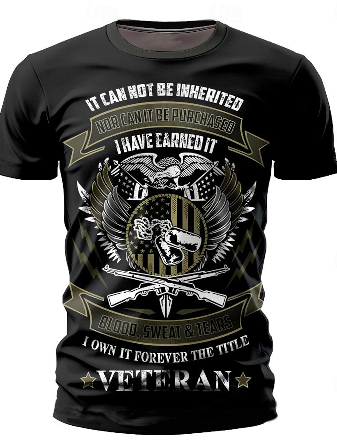 4th of July 2026 250th Memorial Day Men's Graphic Veteran T-Shirt