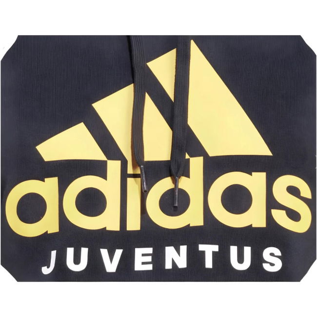 2023-2024 Juventus DNA Hooded Top (Black)