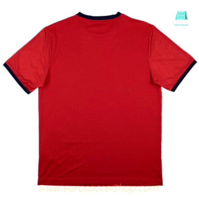 Lille 2016-17 New Balance Training Shirt (M) (Excellent)