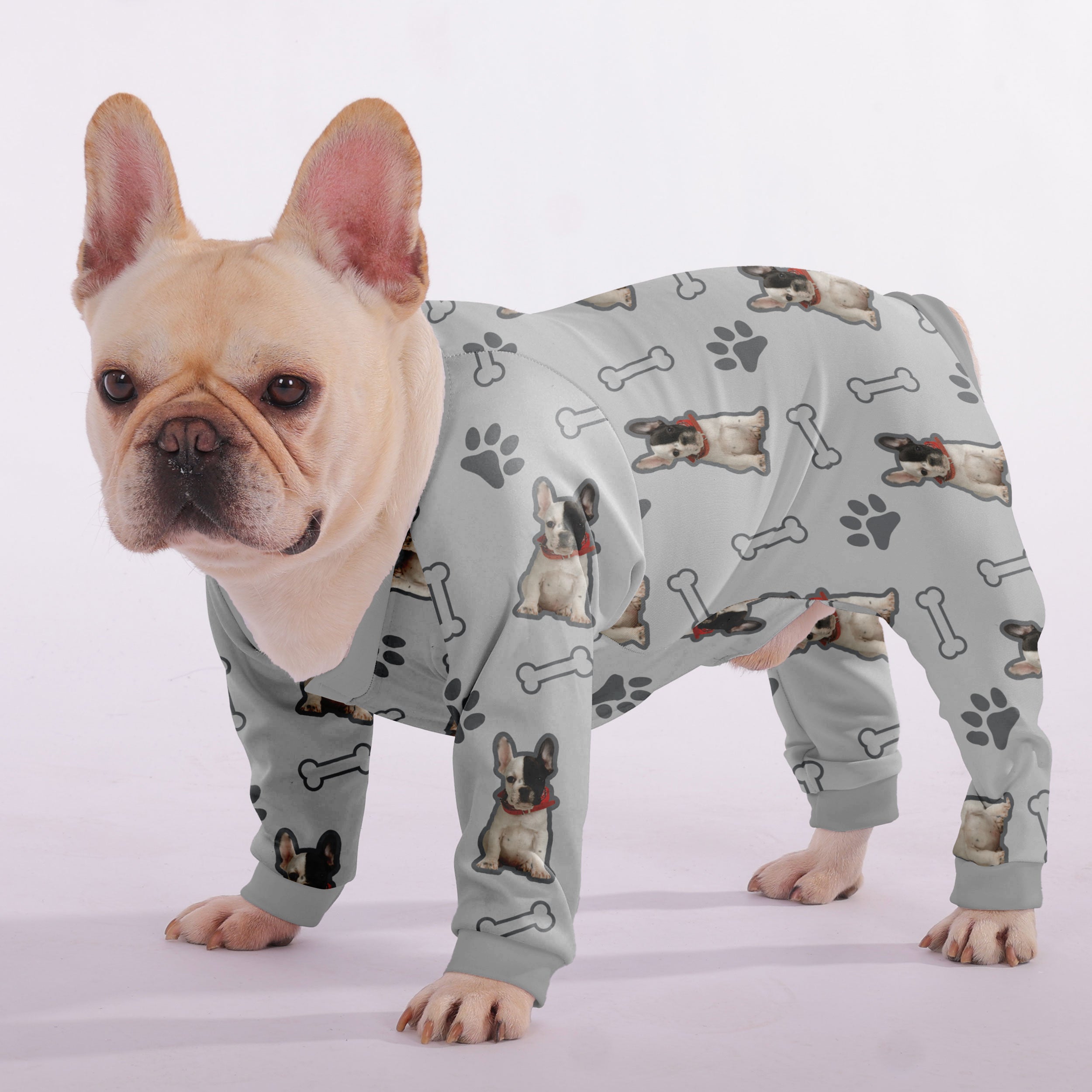 Enzo - Frenchie Pajama