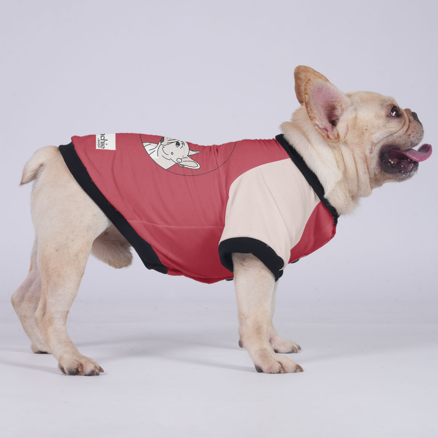 Sophie - Comfortable Jacket For French Bulldog Winter Wear