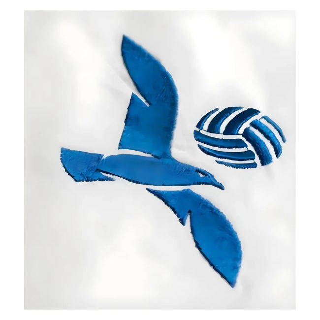 Official Licensed Dedicated Football The Seagull #10 2024-2025 Seas...