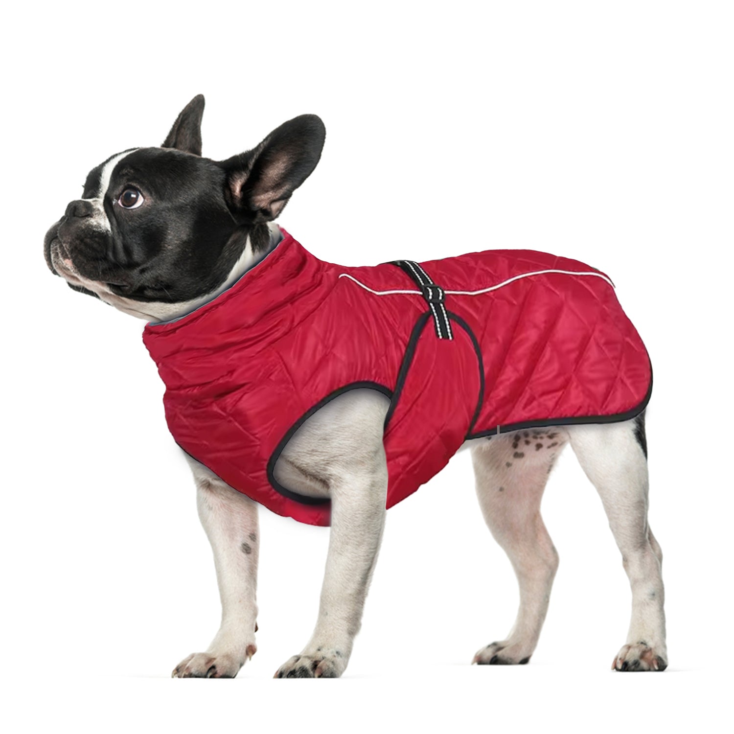 Coat Reflective And Insulated Dog Jacket Outdoor Use | Comfort Fit