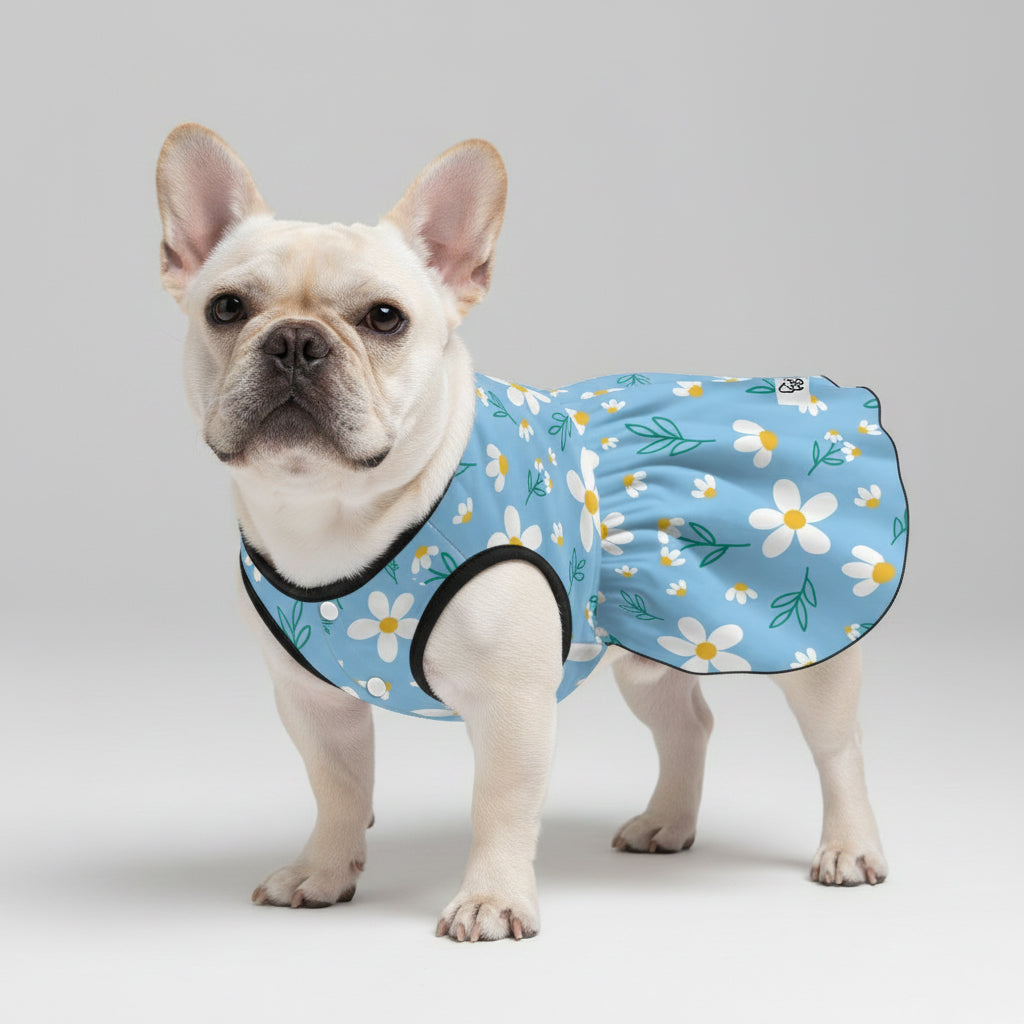French Bulldog Kennedy French Bulldog Dresses For Females Durable Dog Item
