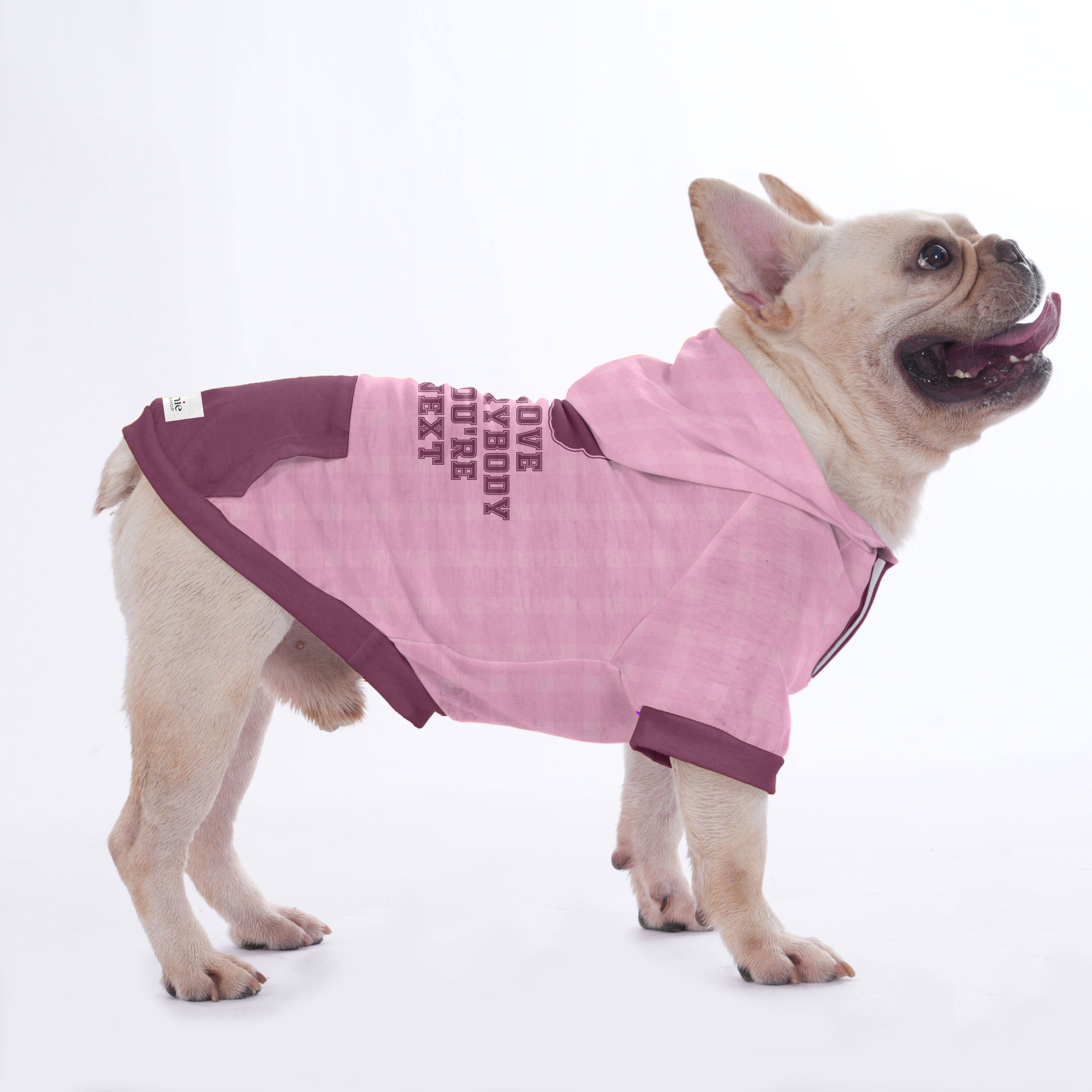 Stylish Ames - Hoodies For French Bulldog | Frenchie Shop Original fo...