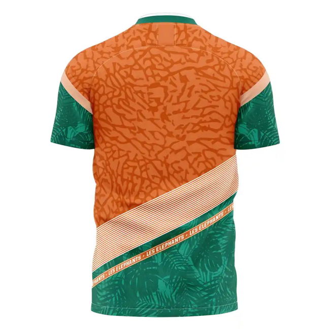 2025-2026 Ivory Coast Away Jersey (Adult)