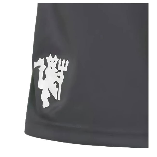 2024-20 Man Utd high quality Third Shirt - Kids | genuine