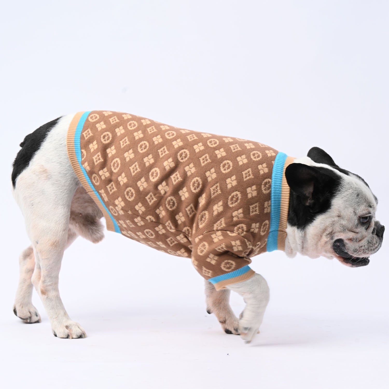 Stylish Chillguard Frenchie Winter Sweater With Cute Design for Pet