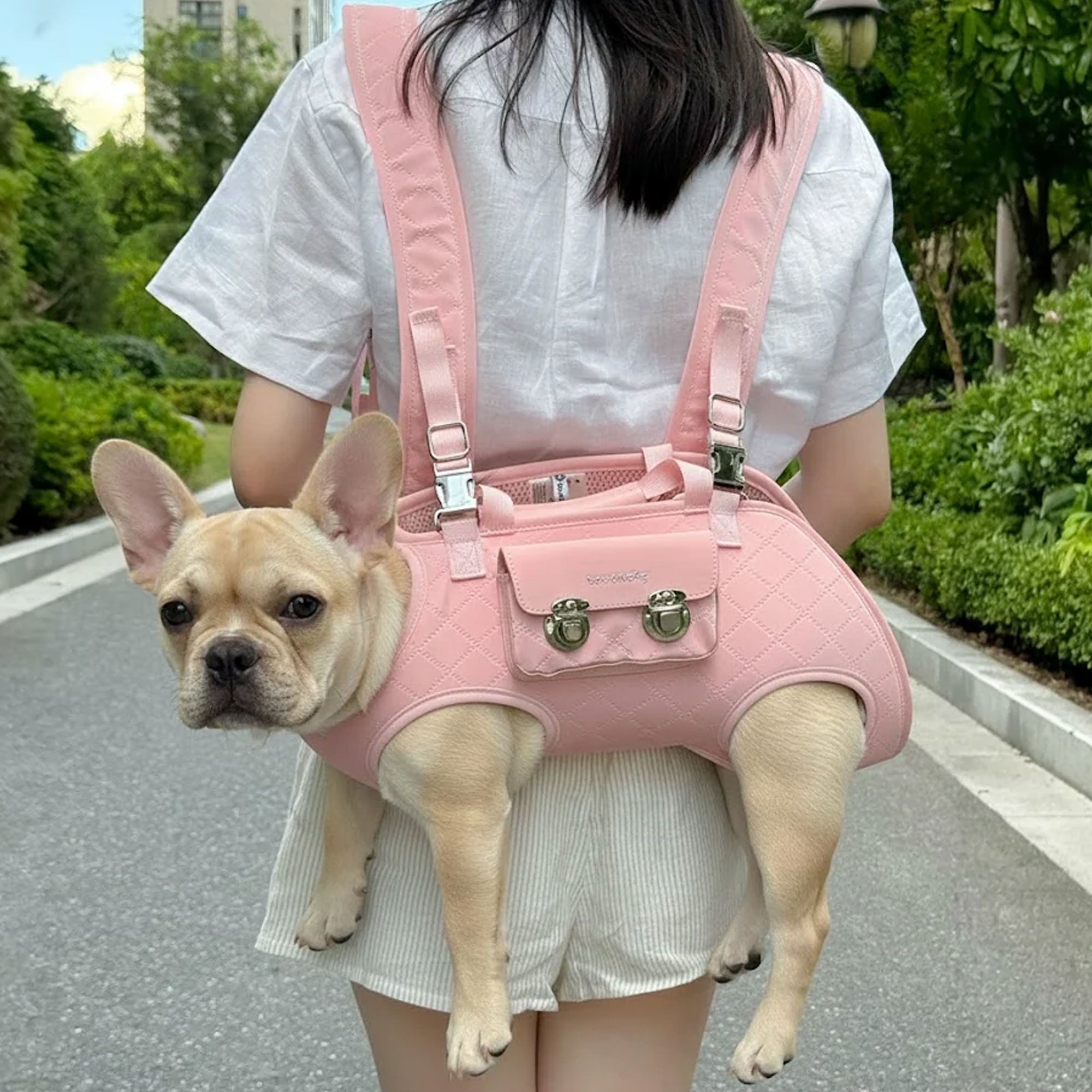 Breathable Travel Dog Carrier For French Bulldogs | Durable Build