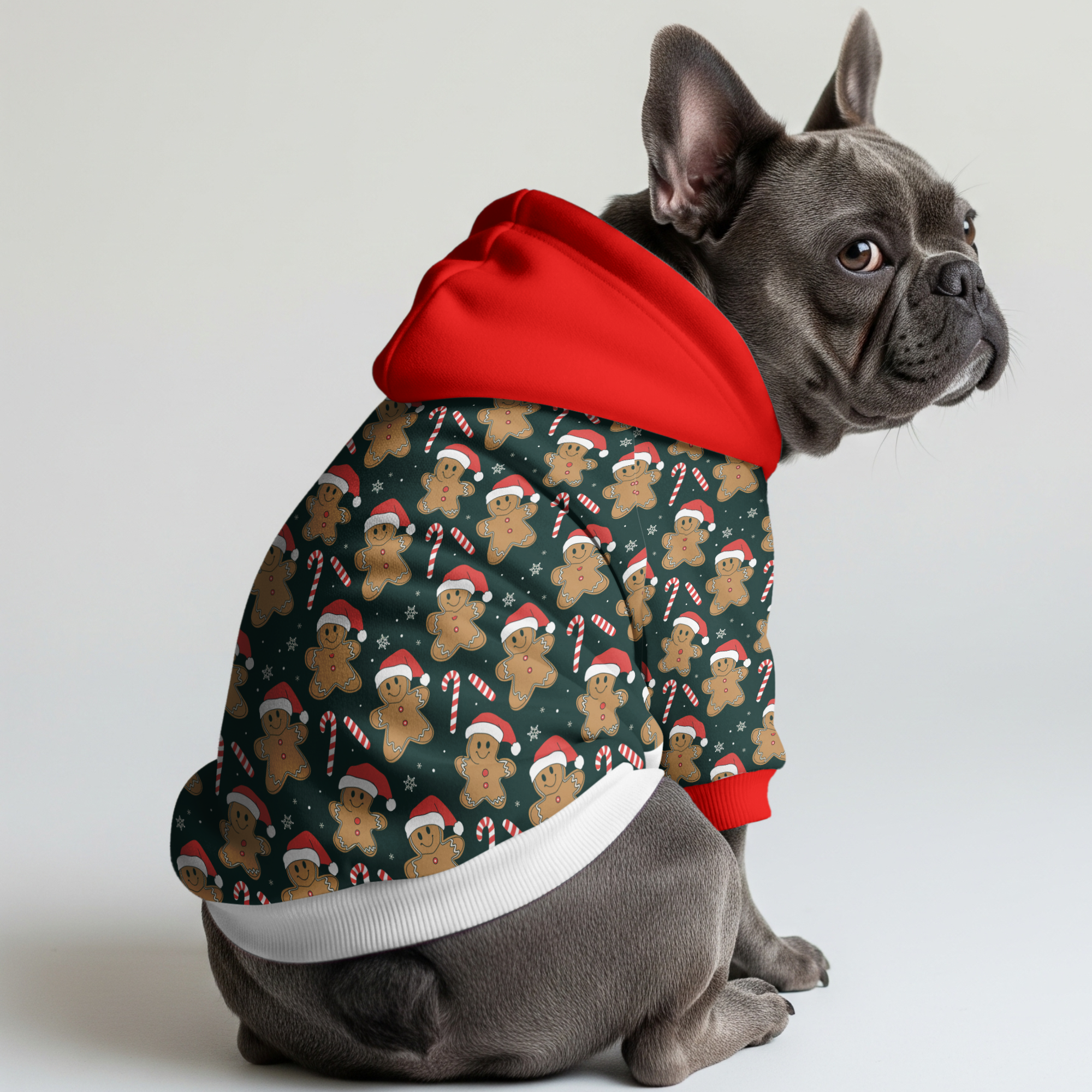 - Frenchie Lover Frenchie Hoodie Pet Owner Apparel | Durable Build