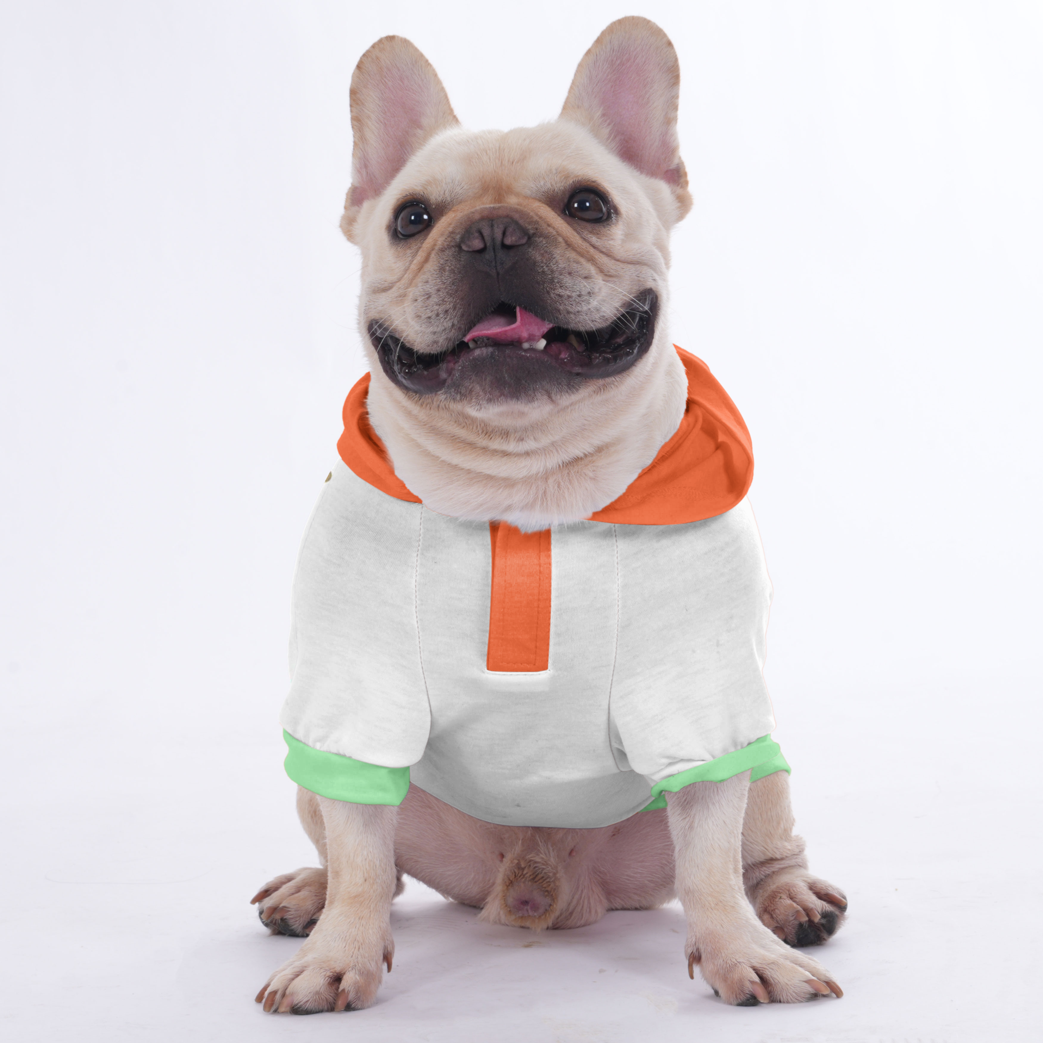 French Bulldog | Frenchie Shop Original Indoor Comfort | Trendy Style