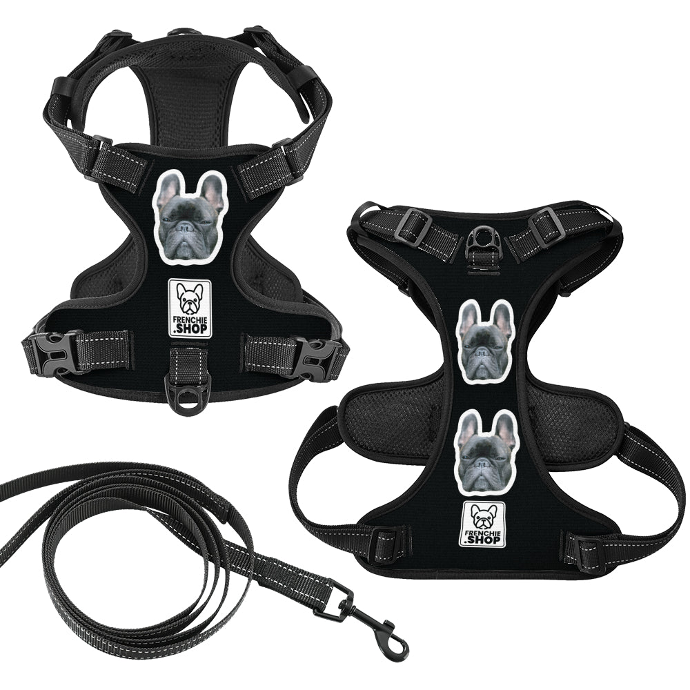 Esther - Personalized No-Pull French Bulldog Dog Harness
