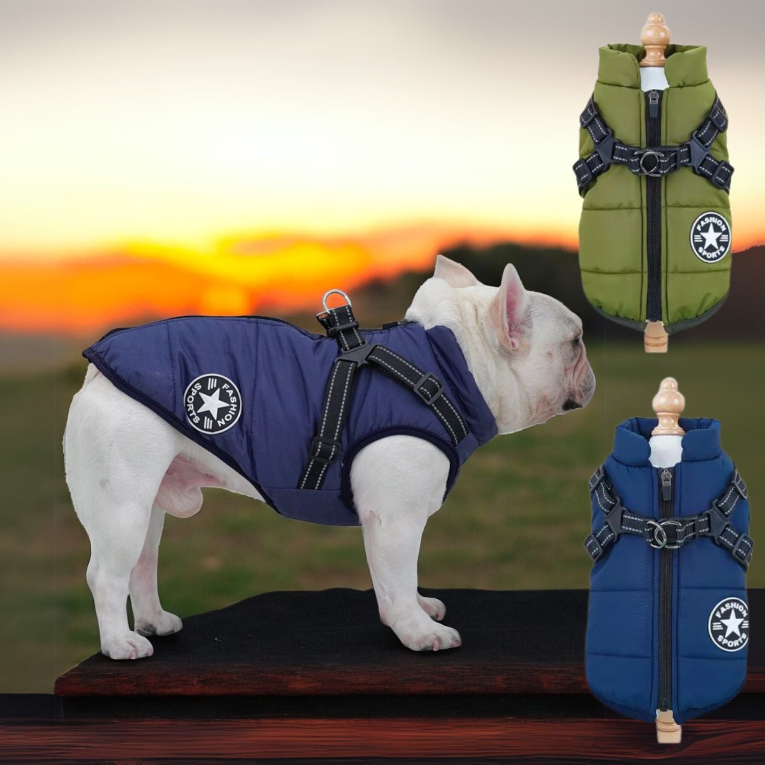 Winter Waterproof Frenchie Harness Jacket Summer Wear | Safe For Paws