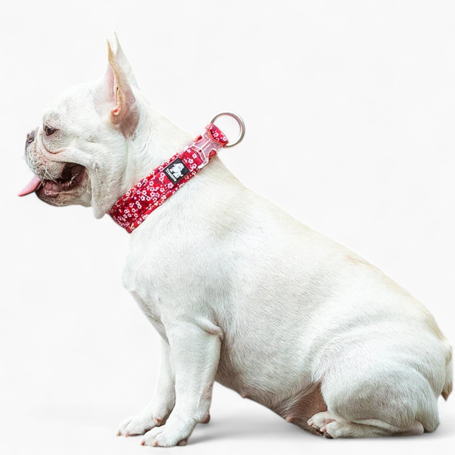 French Bulldog Florish Frenchie Floral Collar – Stylish Durable Cotton