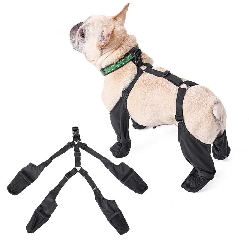 French Bulldog Footwear Soft And Stylish Paws Protector Indoor Use