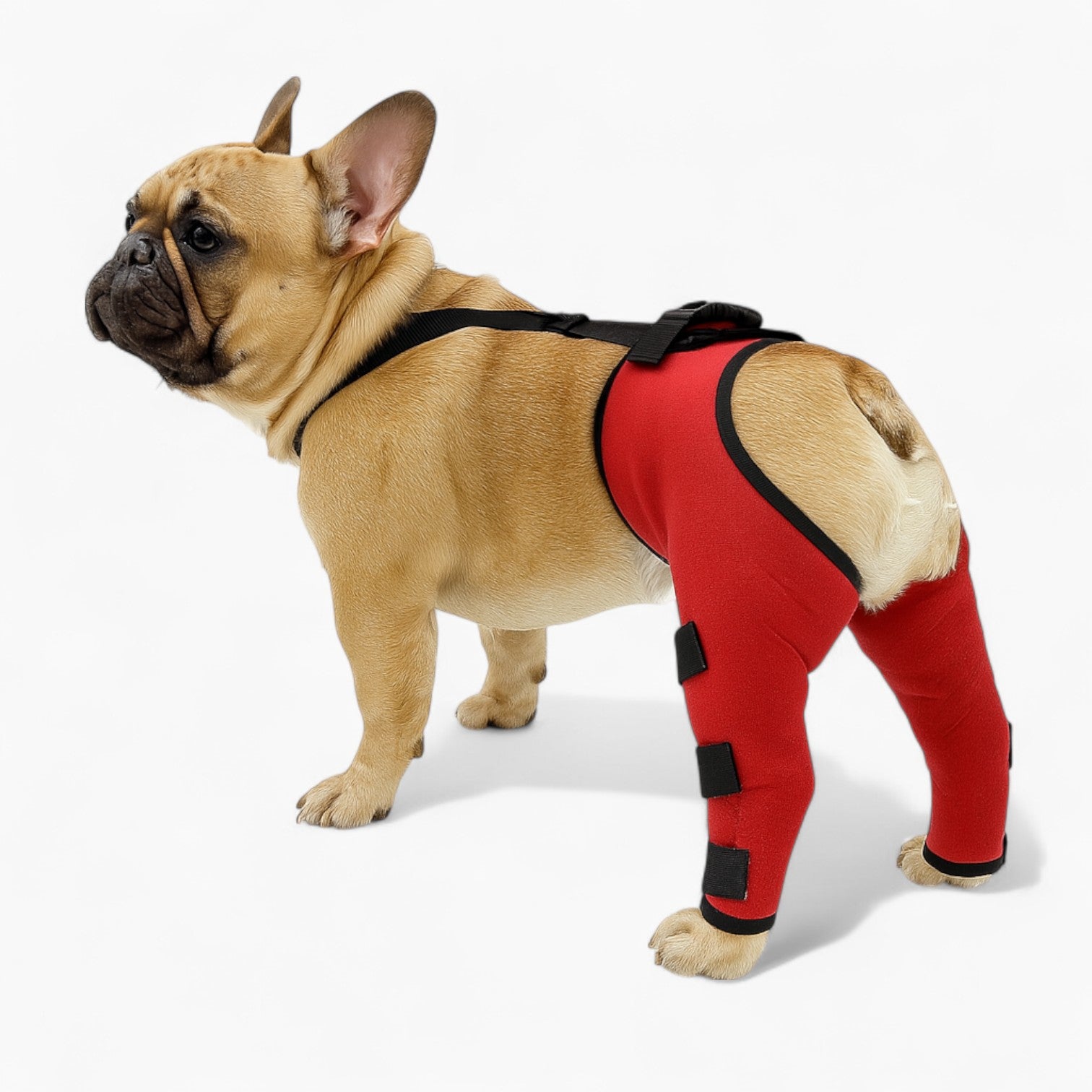 Knee Leg Braces – Joint Support Injury Recovery Braces Indoor Use