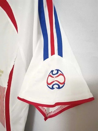 Professional 2006 International Jersey World Cup World Cup With
