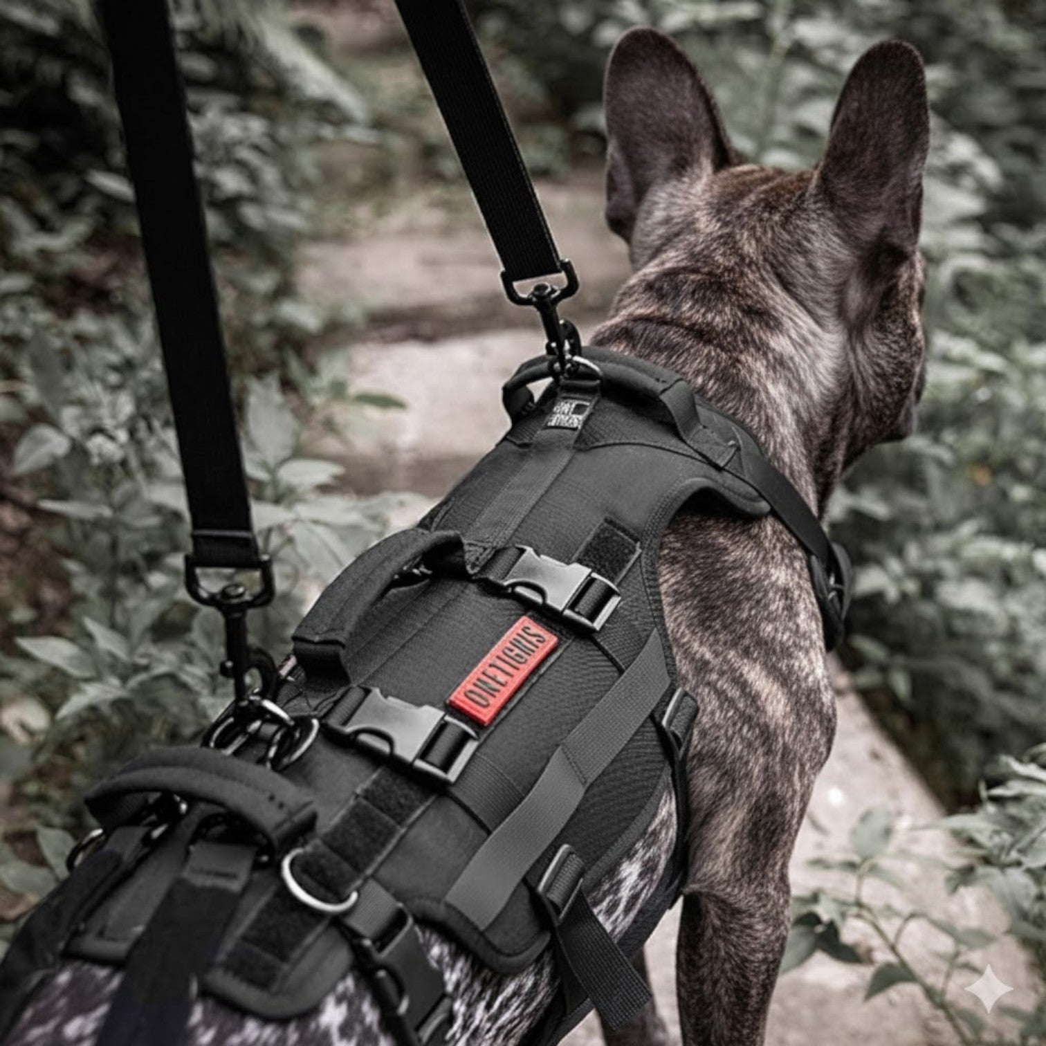 Soft Frenlift™ Frenchie Support Harness – Heavy-duty Walking Aid Dog ...