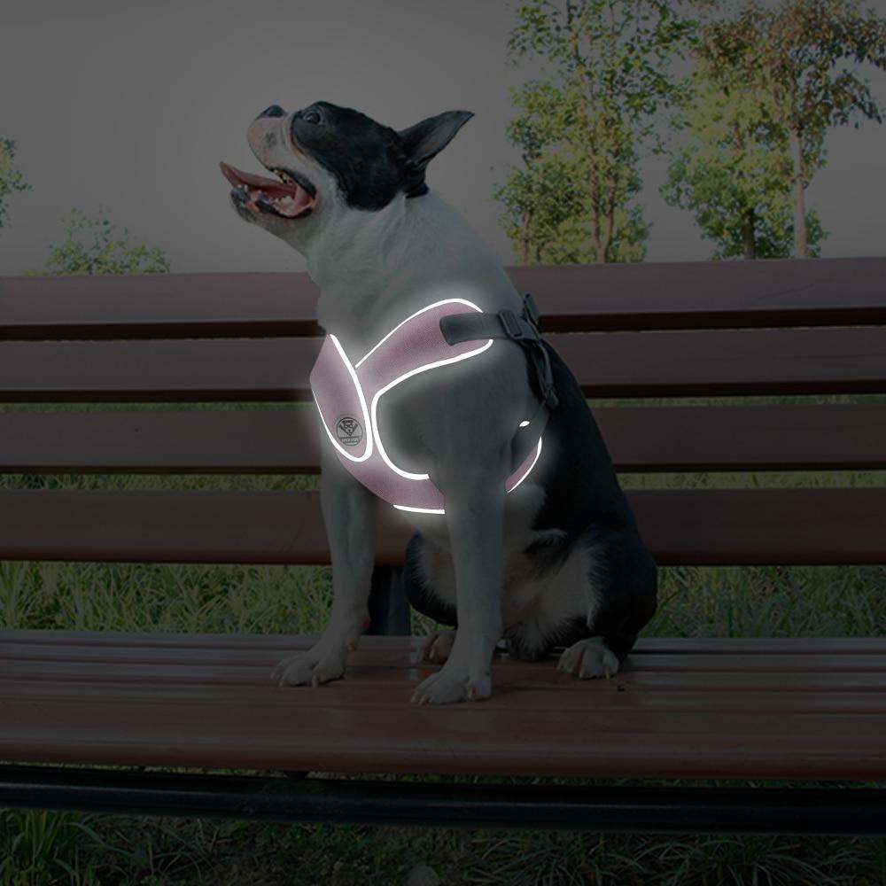 French Bulldog Reflective Harness (ws56) Practical Pet Supply