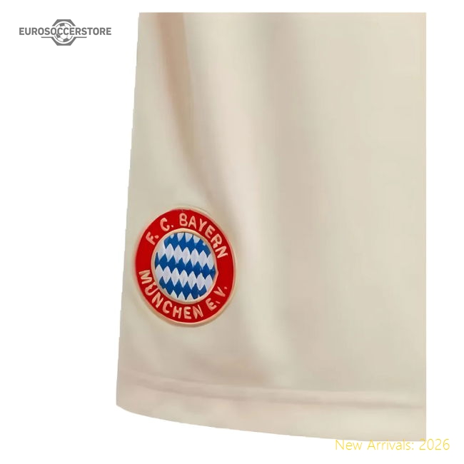 Club Teams,Bayern Munich Third Kit 2024-2025 Match Replica Jersey