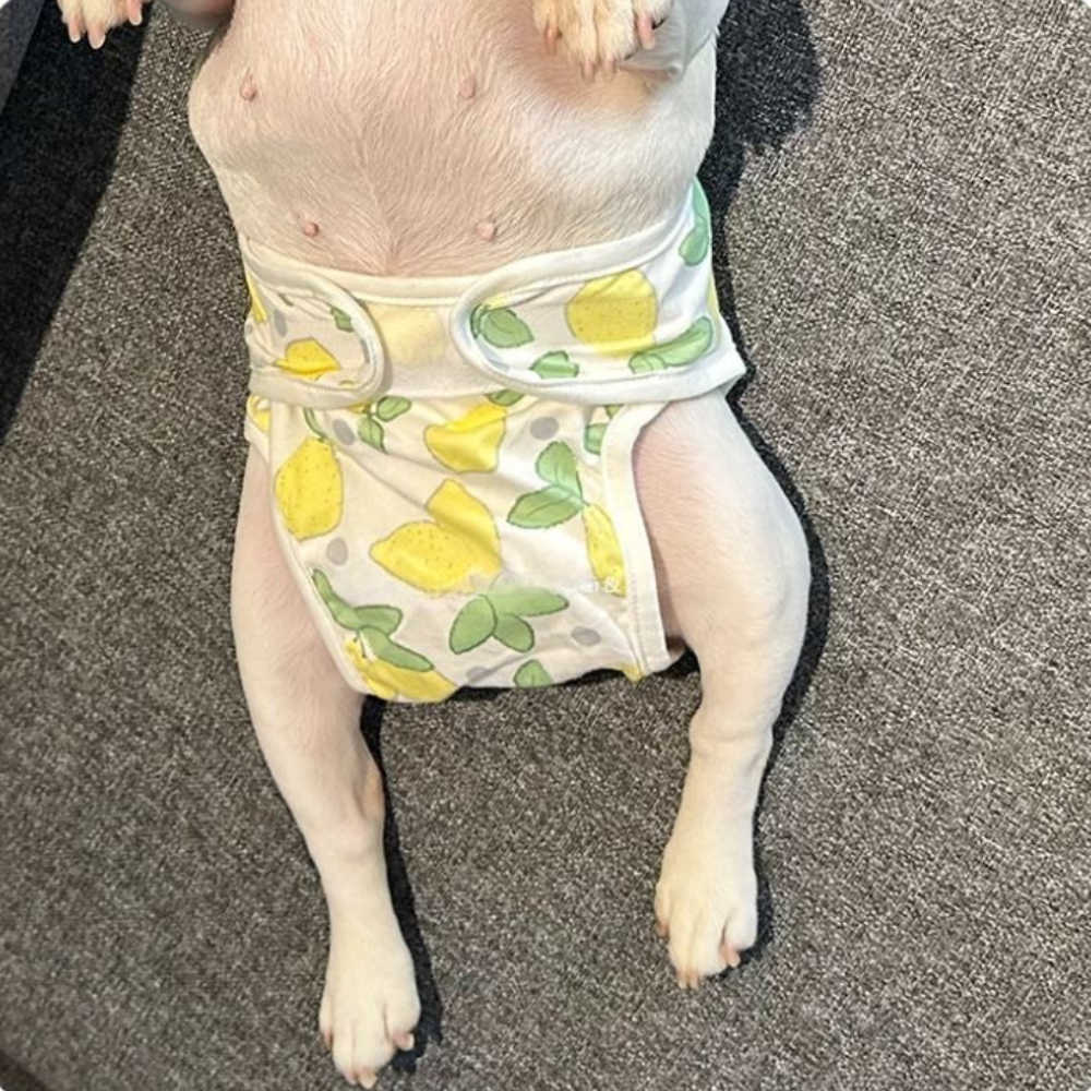 EasyPaw Frenchie Menstrual Pants – Leak-Proof Heat Cycle Dog Diapers